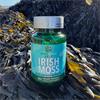 GreenCastle Kelp Irish Moss & Bladderwrack 60 Capsules