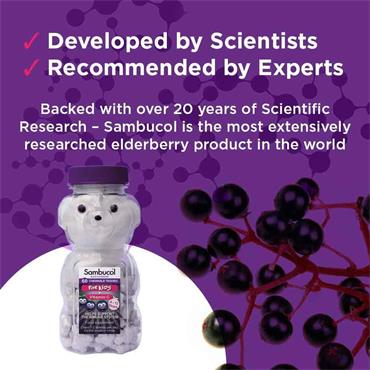 Sambucol Kids Chewable Teddies 60 Pack