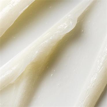 Sculpted by Aimee Lip Treat Intensive Nourishing Balm