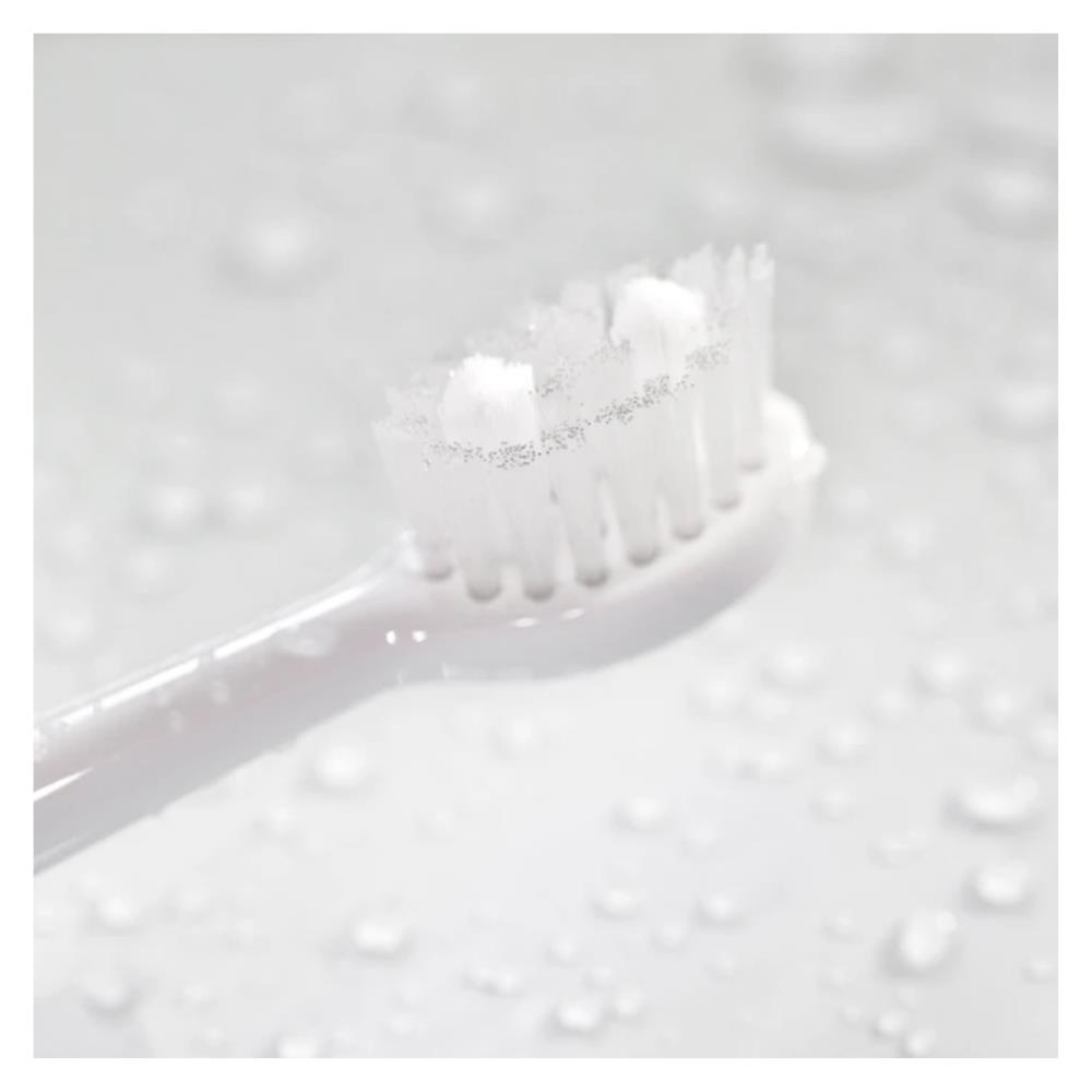 Spotlight Oral Care Sonic Toothbrush Replacement Heads 3 Pack Inish