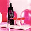 Tequila Rose Strawberry Cream 500ml