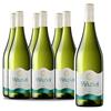 Torres Vina Sol Sauvignon Blanc 6 Bottle Case Deal