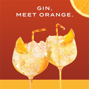 Gordon’s Mediterranean Orange Gin 700ml Bottle