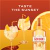 Gordon's Mediterranean Orange Gin 700ml Bottle | 37.5% vol
