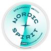 Nordic Spirit Spearmint Regular