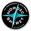Nordic Spirit 20 Icy Peppermint Max Nicotine Pouches 14g