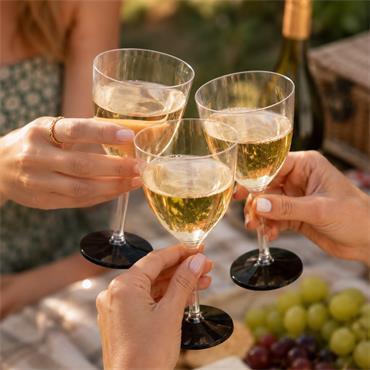 Plastic Wine Glasses Pack of 6