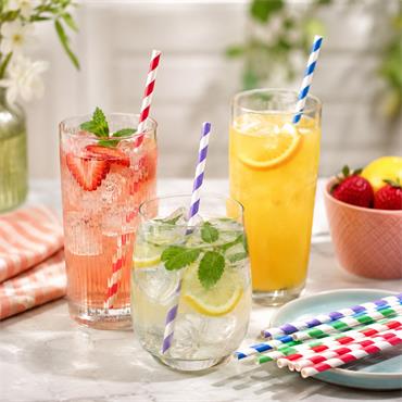 Biodegradable Straws Pack of 40