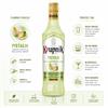 Krupnik Pistacja (Pistachio) Cream Liqueur 500ml Bottle