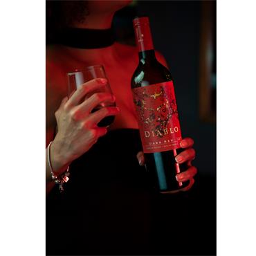 Casillero del Diablo Dark Red 750ml Bottle