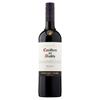 Casillero del Diablo Merlot 750ml Bottle