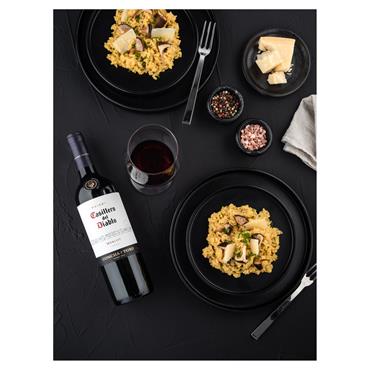 Casillero del Diablo Merlot 750ml Bottle