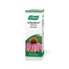 BIOFORCE ECHINAFORCE COLD & FLU DROPS 50ML