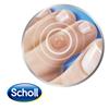 SCHOLL 2 IN 1 CORN EXPRESS PEN