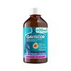 GAVISCON LIQUID ANISEED