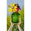 Marc Jacobs Daisy Wild Eau So Extra Edp 50ml