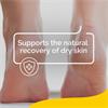 Scholl Cracked Heel Repair Cream – Active K+
