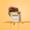 Wild Refill Honey & Cactus Flower 