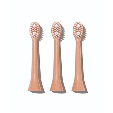 Spotlight Oral Care Sonic Toothbrush Replacement Heads in Rose Gold