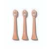 Spotlight Oral Care Sonic Toothbrush Replacement Heads in Rose Gold