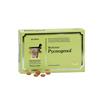 Bioactive Pycnogenoll 60 Tabs