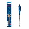 Bosch Self-Drilling Rasp - Expert SelfCut Speed - 2608900315 - 16x152mm -