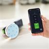 Festool ETSC 2 125 4,0 I-Plus - Cordless Eccentric Sander - 577737