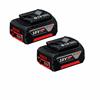 Bosch BOS3IN1 - Bundle - 2 x 5Ah Batteries & 1 x Charger