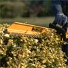 Dewalt 18v XR 55cm Hedge Trimmer - Bodu Only - DCMHT562N