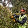 DeWalt DCMHT564N - 18v XR 55cm - 25mm Cordless Hedge Trimmer - Bare