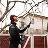 Makita DUA200RT - 18V Pole Saw LXT
