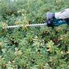 Makita DUH507F001 18v LXT - Hedge Trimmer with 1 x 3.0Ah Batt & Charger