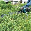Makita DUH606RT - 18v LXT - Cordless Hedge Trimmer - 600mm - 30T - 4,000 min?¹