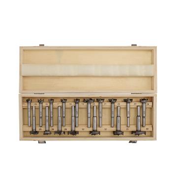 DRAPER FORSTNER BIT SET 15-40MM 17 PIECE