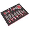 Sealey Locking Pliers Set 10 In Foam Tray