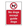 CENTURION SIGN - No Dogs. Except Guide Dogs