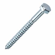 COACH SCREW ZP M8 x 60MM