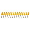 Dewalt Steel Nail 50mm Box 1005 For Soft Concrete