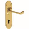 Carlisle Brass Oakley DL168 Lever Lock Door Handles on Backplate ? Polished Brass 170 ? 42mm Pair