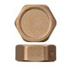 Brass Blanking Cap 1/2in
