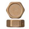 Brass Blanking Cap 3/4in