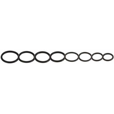 EASI PLUM O RING KIT NO. 4 (8 Ex large O Rings)