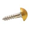 CENTURION BRASS MIRROR SCREW 1" X 8 BOX 100