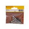 CENTURION MIRROR SCREW 2" CP (PK 4)