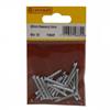 Centurion 25mm Masonry Nails Pk22