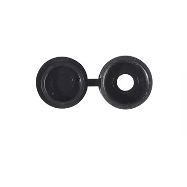 FORGEFIX SCREW COVER POZI BLACK ( 100 )