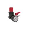 SEALEY AIR REGULATOR 1/4" BSP F - 1/4" BSP M