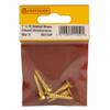 BRASS C/SUNK HEAD WOODSCREWS 1"X10  PKT5