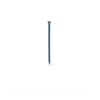 RAWLPLUG NAILS MASONRY 2.5 x 30MM (BX 100)