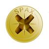 SPAX SCREW WOOD YELLOW 6 x 150MM